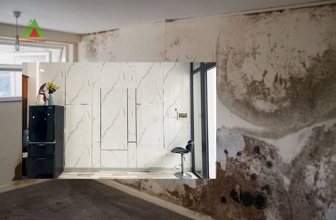 Có nên sử dụng tấm PVC chống ẩm mốc cho tường nhà ?